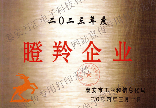 瞪羚企业
